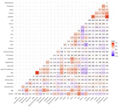 Associations of urinary phytoestrogens with all-cause and cardiovascular mortality in adults: a population-based cohort study